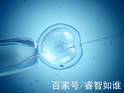 捐卵联系方式